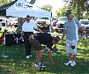 ridleys001002.jpg