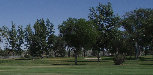 ridleys001015.jpg